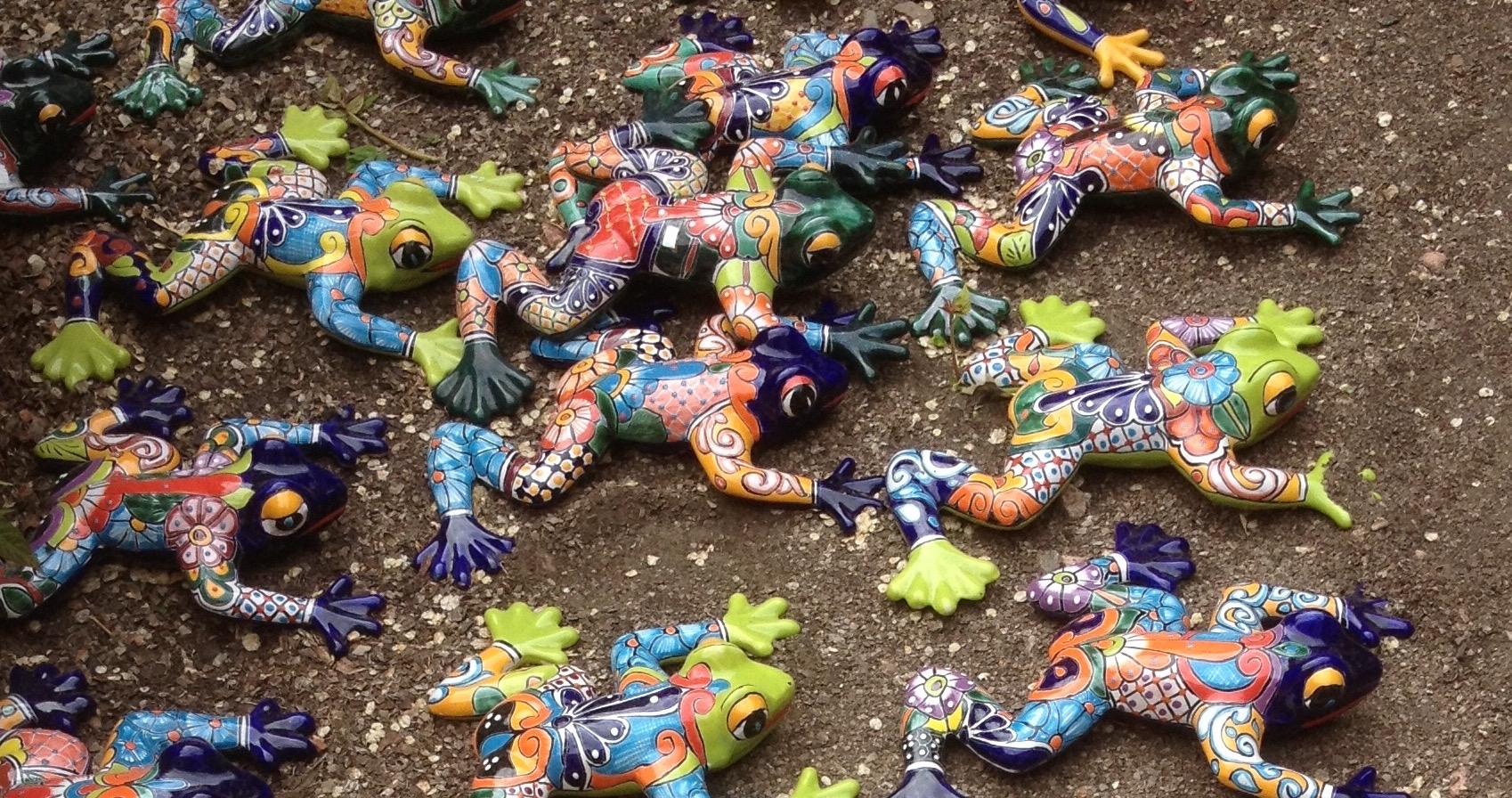 Painted frogs
